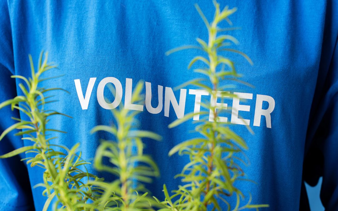 Volunteering: A Source of Positivity for Your Mental Health